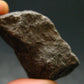 Rare Shammanite Shamanite Master Shamanite Raw Piece From USA - 1.4" - 15.52 Grams