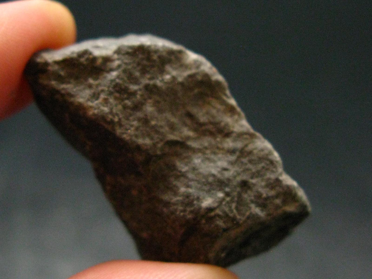 Rare Shammanite Shamanite Master Shamanite Raw Piece From USA - 1.4" - 15.52 Grams