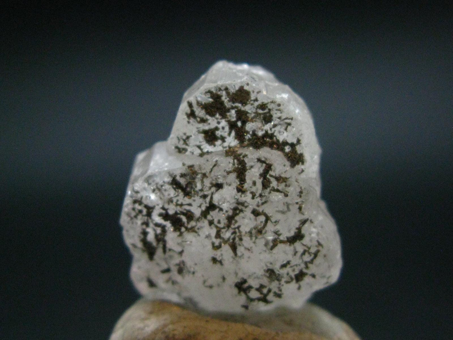 Phenakite Phenacite Gem Crystal from Brazil - 0.8" - 35.25 Carats