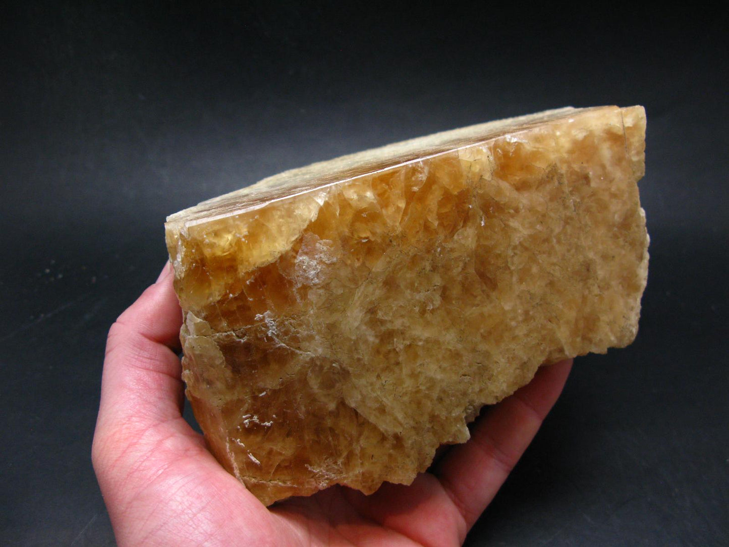 Enormous Gold Danburite from Madagascar - 9.3" - 2014 Grams