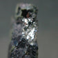 Sperrylite Crystals On Matrix From Russia - 1.5"
