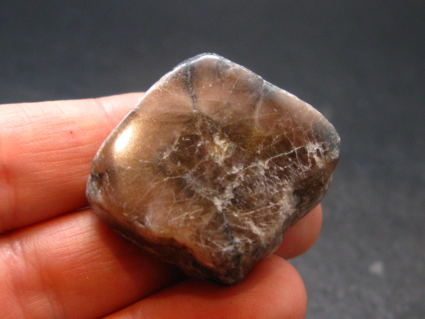 Andalusite Chiastolite Crystal From China - 1.1" - 20.31 Grams
