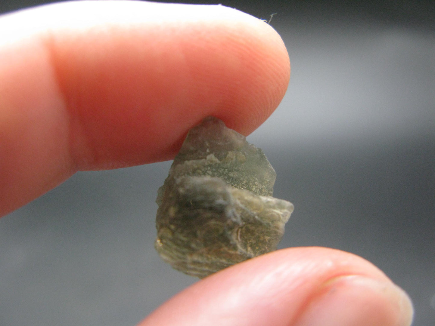 Moldavite Tektite Raw Piece from Czech Republic - 0.5" - 5.25 Carats - 1.05 Grams