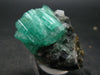 Emerald Beryl Crystal On Matrix From Colombia - 1.6"
