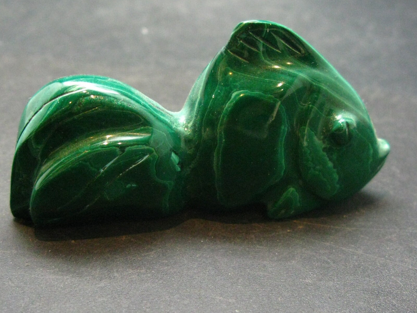 Rich Vivid Vibrant Green Malachite Fish From Congo - 2.6"