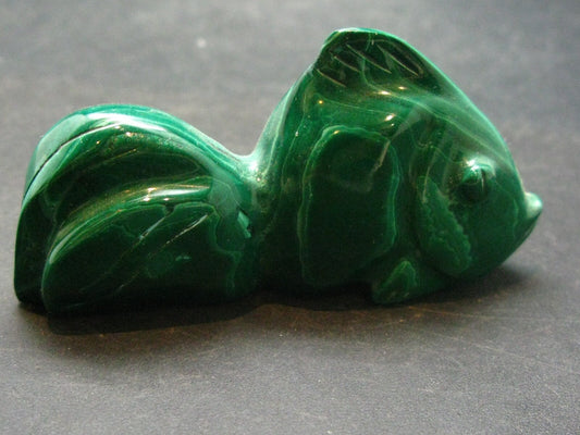 Rich Vivid Vibrant Green Malachite Fish From Congo - 2.6"