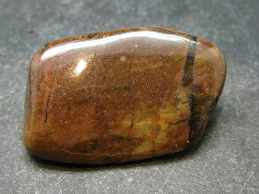 Rare Bustamite Tumbled Stone from South Africa - 1.3" - 14.31 Grams