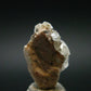 Rare Phenakite Phenacite Crystal from Madagascar - 10.85 Carats - 0.7"