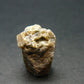 Rare Parisite Crystal From Colombia - 2.97 Grams - 0.5"
