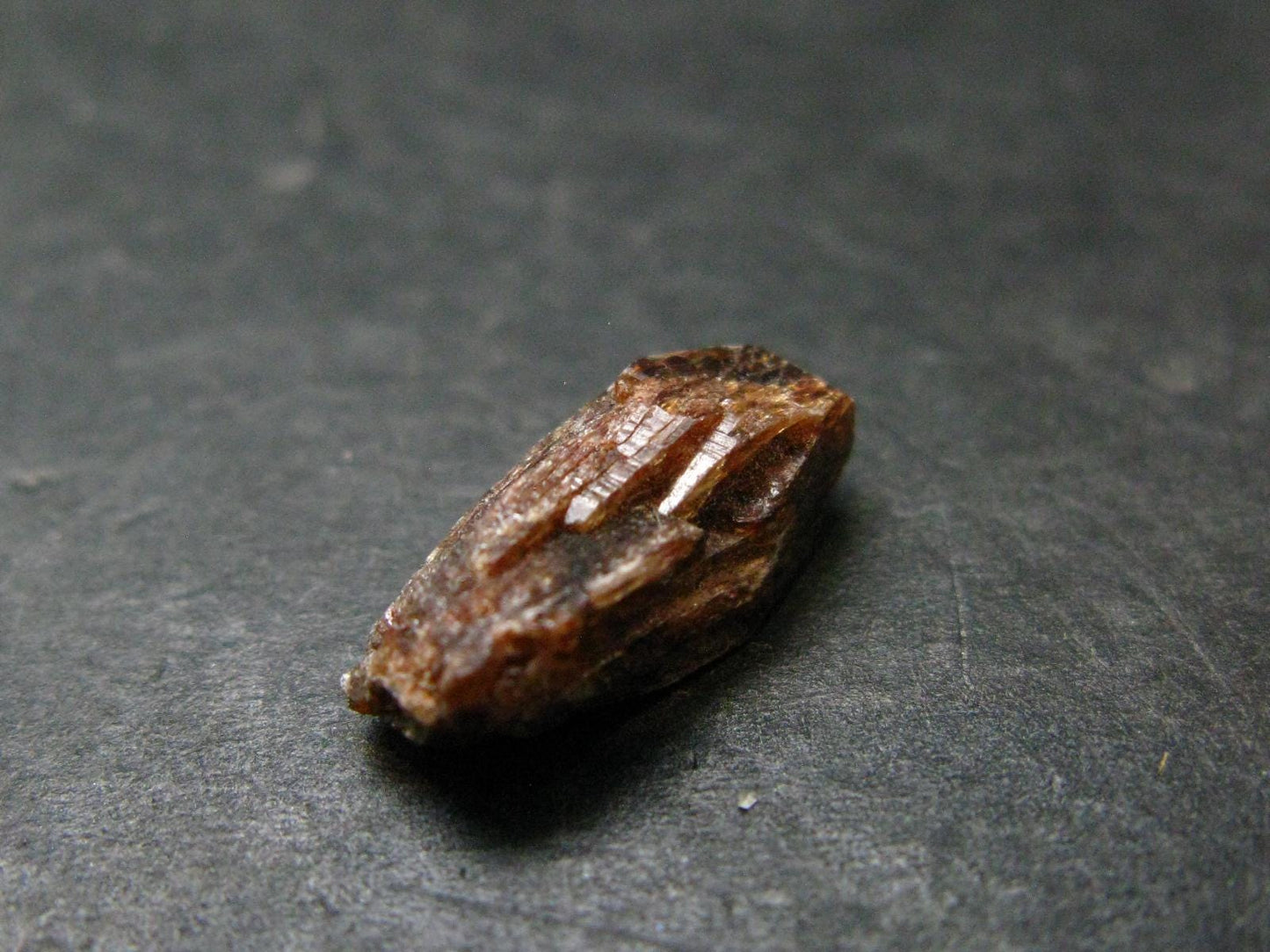 Rare Xenotime Crystal from Brazil - 0.6" - 1.34 Grams
