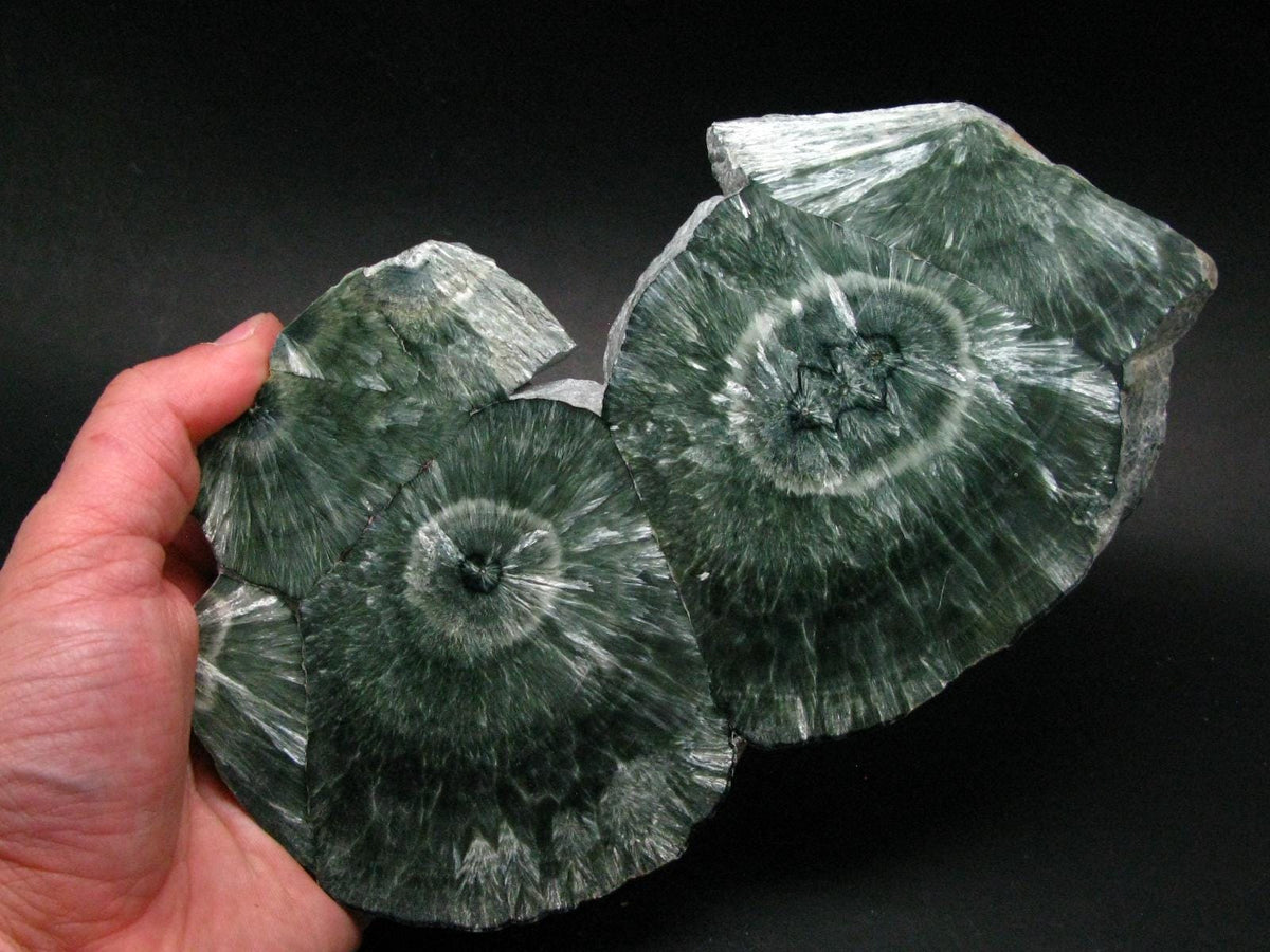 Nice Polished Seraphinite Clinochlore Stalactite Slab From Russia - 8.6" - 490 Grams