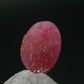 Rare Pink Tugtupite Gem Cabochon From Greenland - 0.61 Carats - 8x6mm