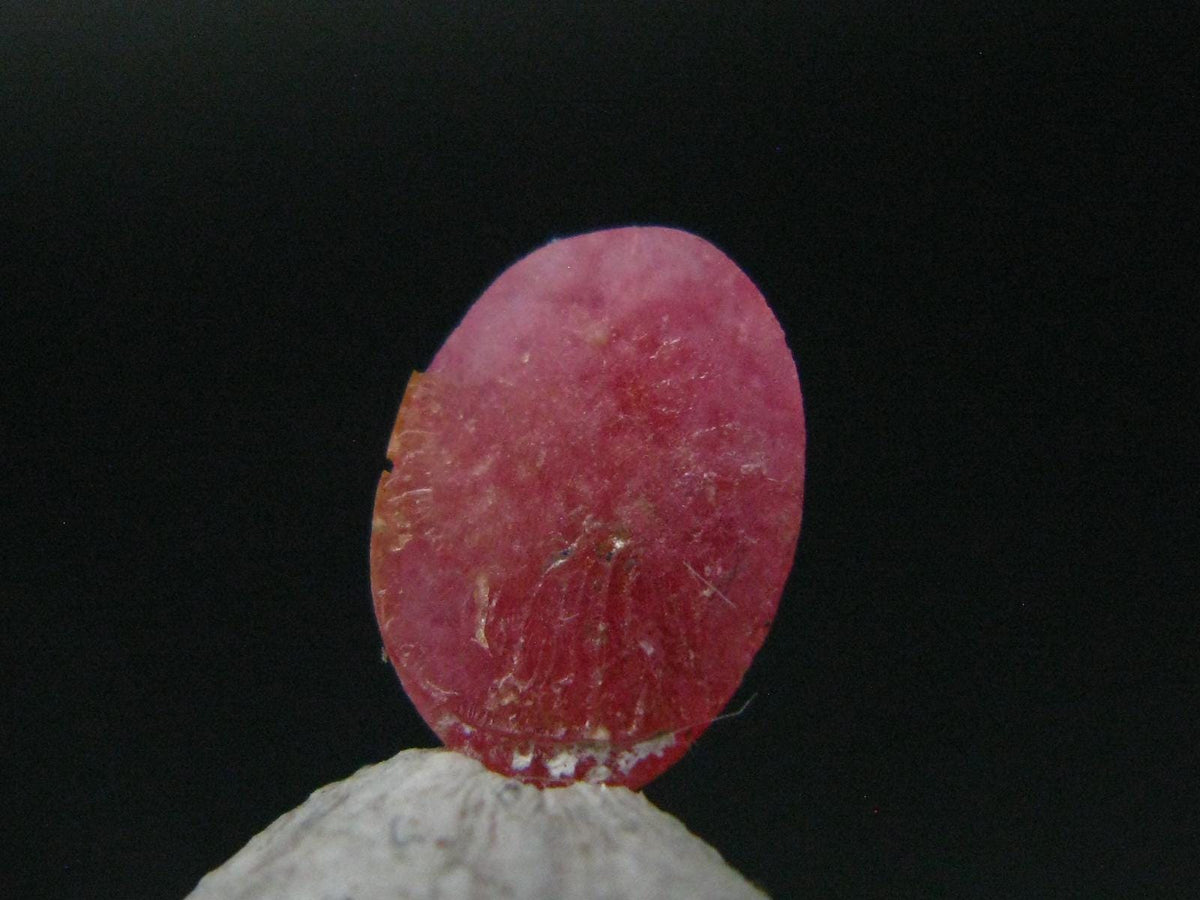 Rare Pink Tugtupite Gem Cabochon From Greenland - 0.61 Carats - 8x6mm