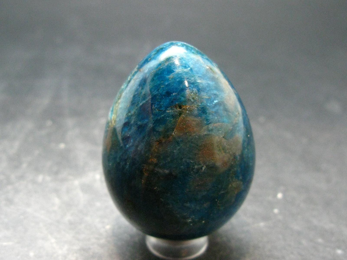 Large Neon Blue Apatite Egg from Madagascar - 103.0 Grams - 1.9"