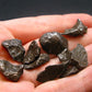 lot Of 10 Sikhote Alin Meteorites From Russia - 25.34 Grams