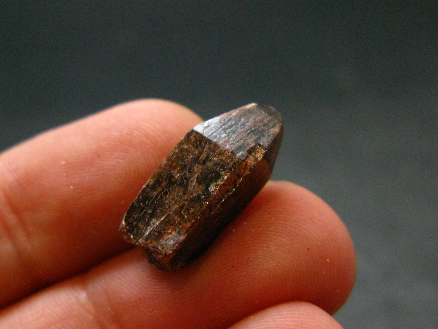 Rare Xenotime Crystal from Brazil - 0.7" - 2.28 Grams