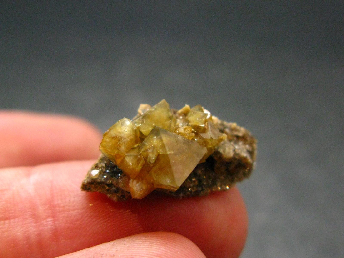 Rare Wardite Crystal from Canada - 0.7" - 2.36 Grams