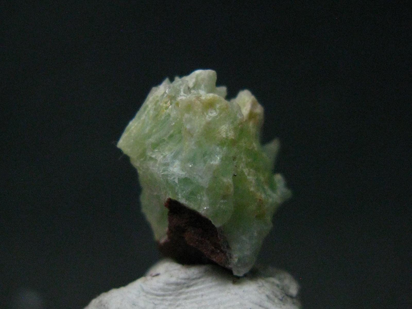 Very Rare Phosphophyllite Crystal From Bolivia - 0.6" - 1.18 Grams