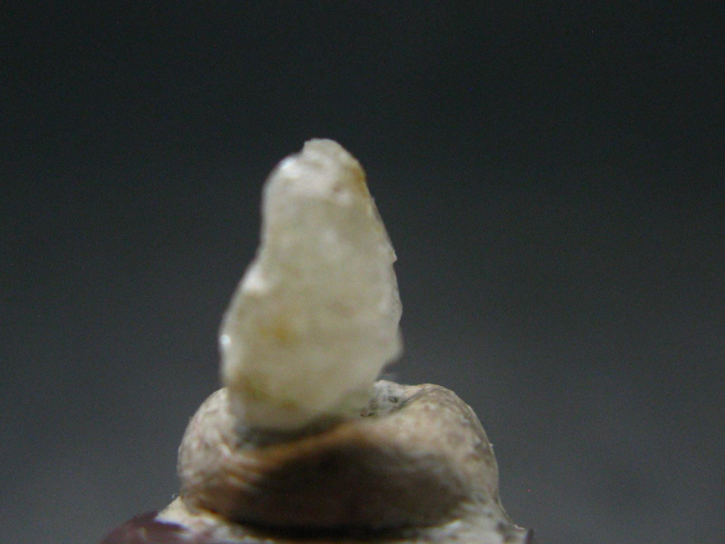Phenakite Phenacite Crystal Bead from Nigeria 2.56 Carats