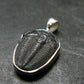 Trilobite Silver Pendant from USA - 0.9" - 1.51 Grams