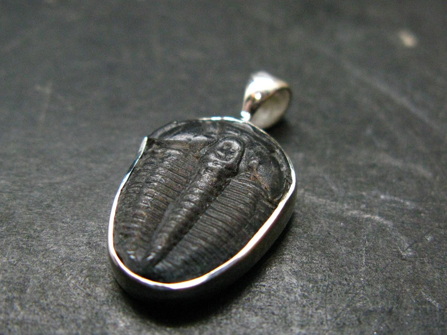 Trilobite Silver Pendant from USA - 0.9" - 1.51 Grams