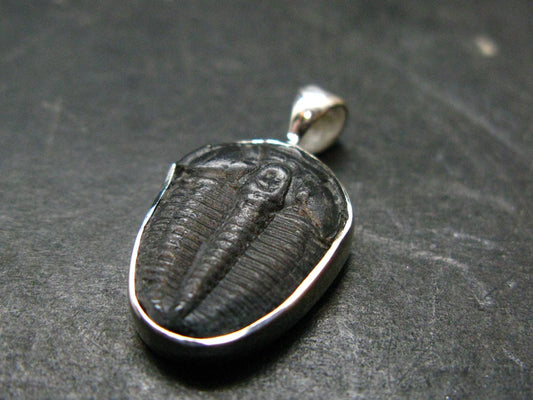 Trilobite Silver Pendant from USA - 0.9" - 1.51 Grams