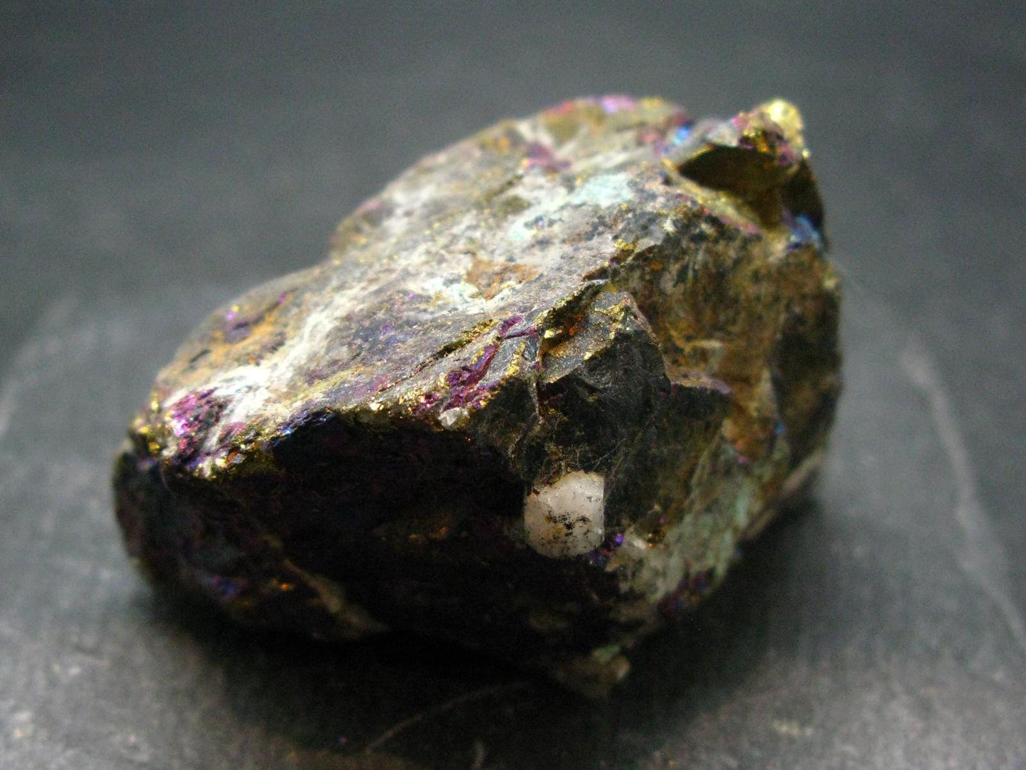 Peacock Ore!! Unusual Natural Raw Chalcopyrite Bornite from Mexico - 2.2" - 180.40 Grams