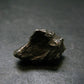 Sikhote Alin Meteorite From Russia - 11.56 Grams - 0.8"