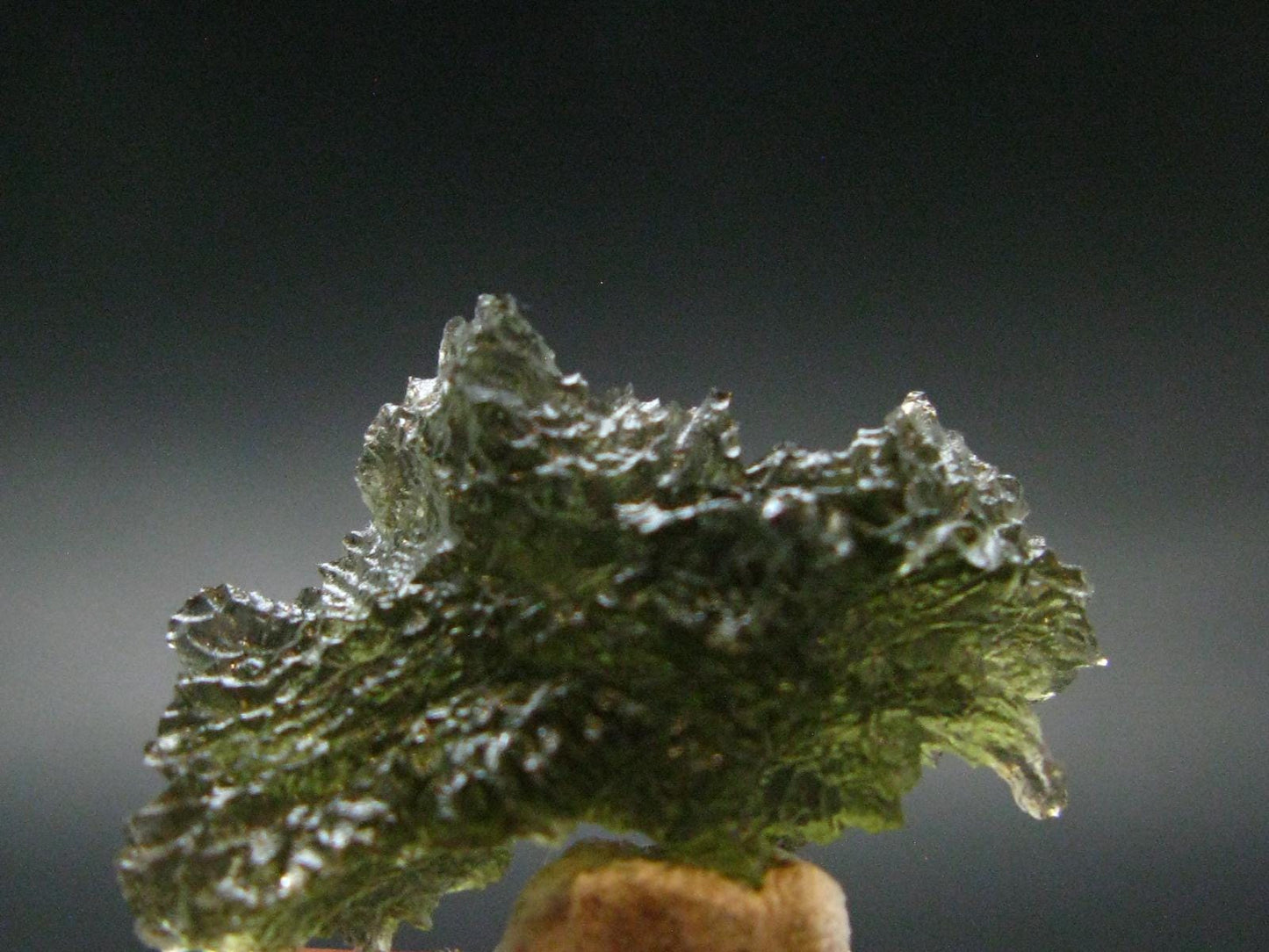 Rare Besednice Moldavite Tektite From Czech Republic - 1.1" - 14.05 Carats