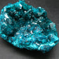 Stunning Dioptase cluster from Congo - 3.5"