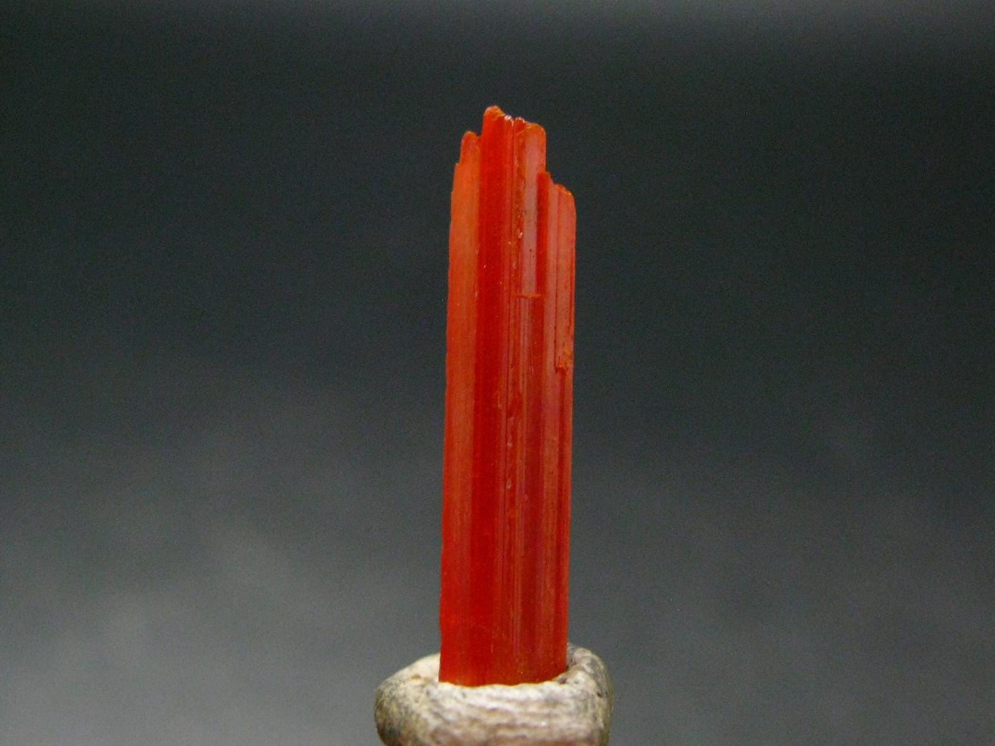 Large Orange Crocoite Crystal From Australia - 0.9" - 5.80 Carats