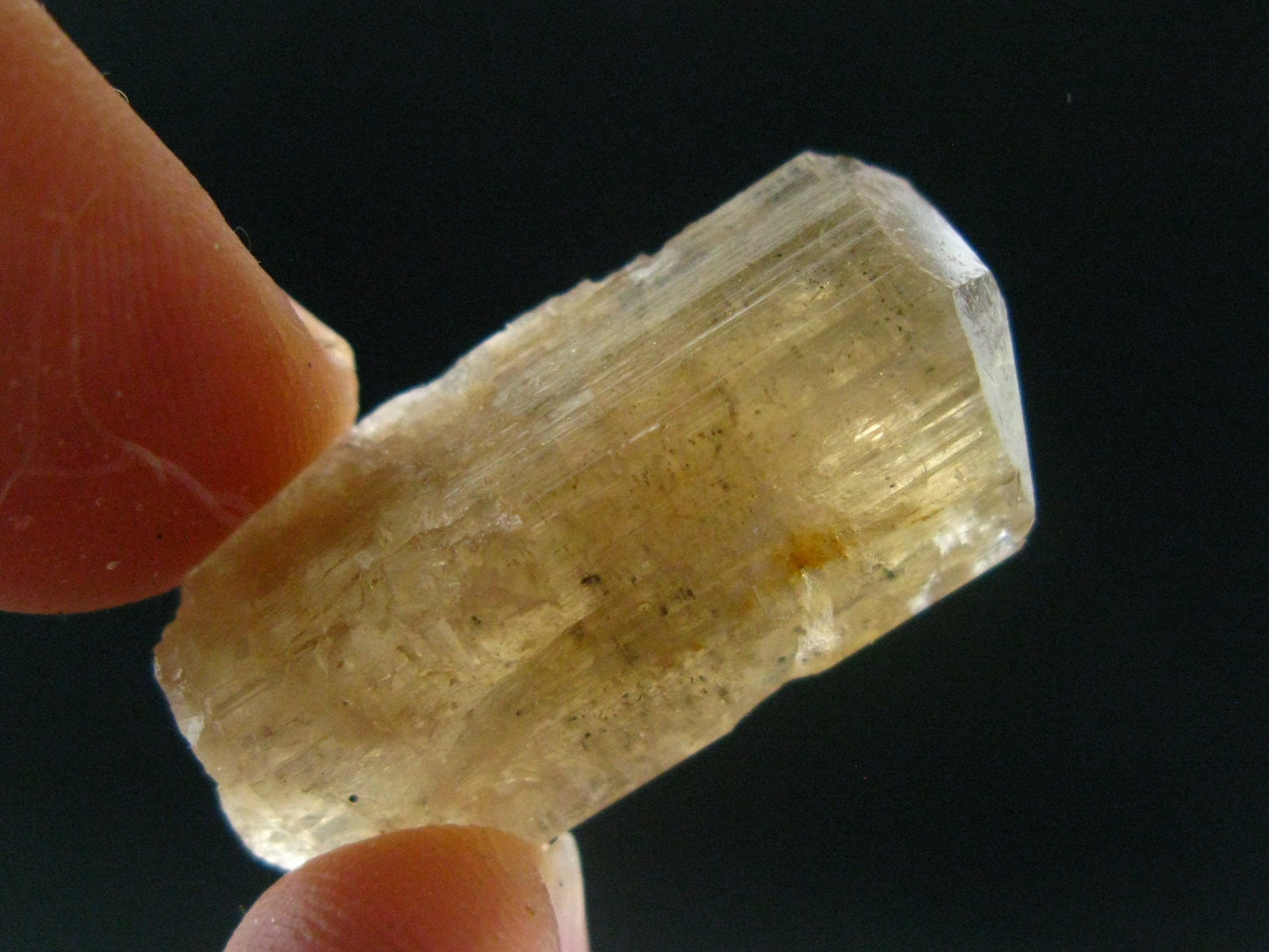 Golden Scapolite Crystal from Morocco - 41.30 Carats - 1.2"