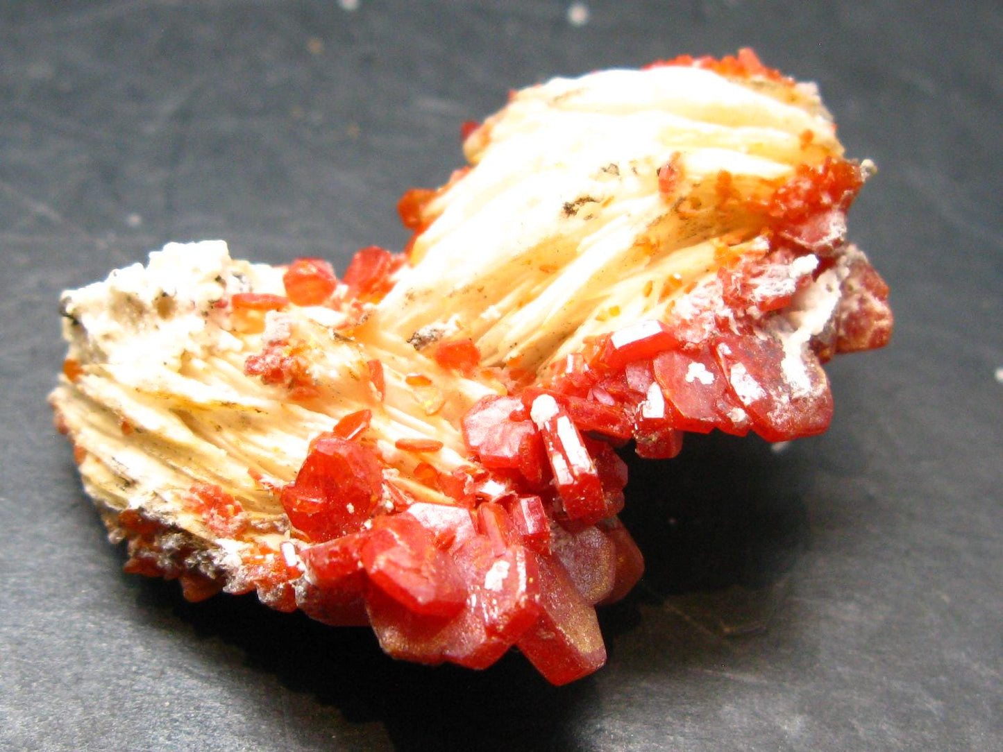 Vanadinite Crystal From Morocco - 1.5" - 23.65 Grams