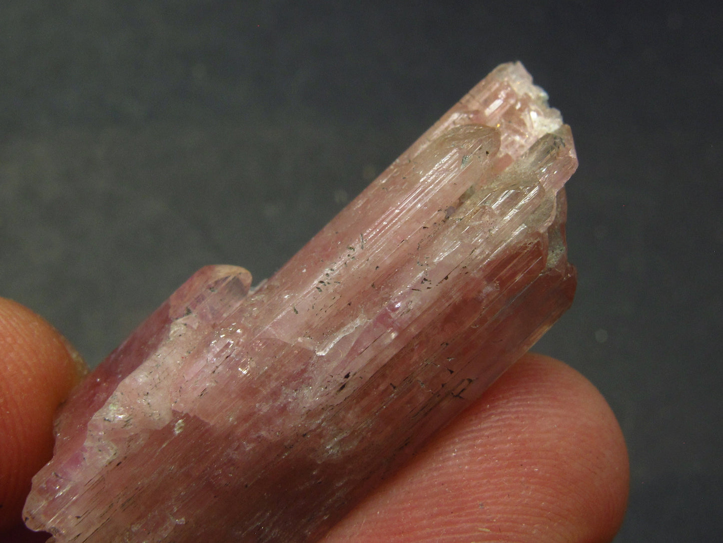 Tanzanite Gem Untreated Pink Crystal From Tanzania - 64.25 Carats - 1.6"