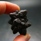 Very rare Z-Stone (Limonite after Marcasite) from Sahara Dessert, Egypt - 1.3" - 24.78 Grams
