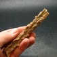 Large Fulgurite Lightning Rock From Sahara Desert - 4.7" - 7.0 Grams