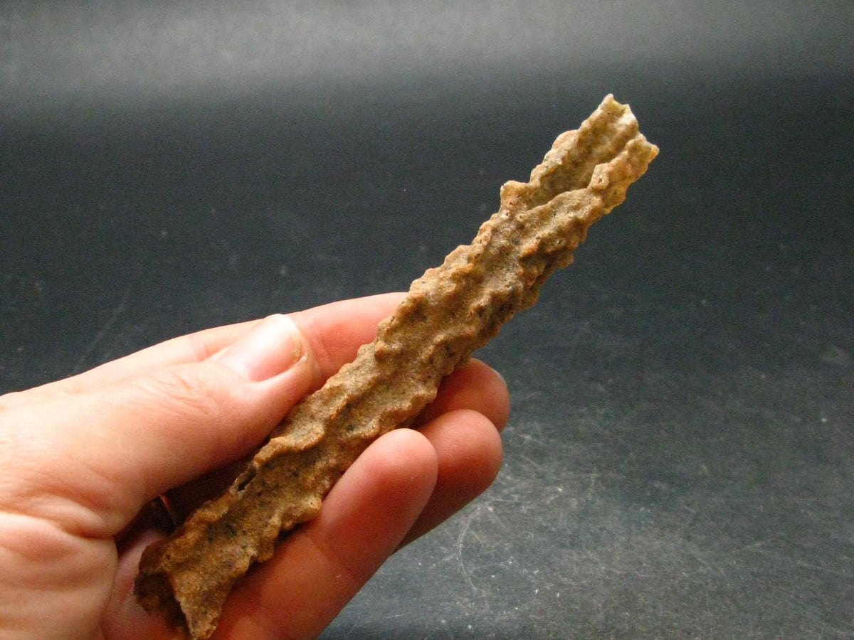 Large Fulgurite Lightning Rock From Sahara Desert - 4.7" - 7.0 Grams