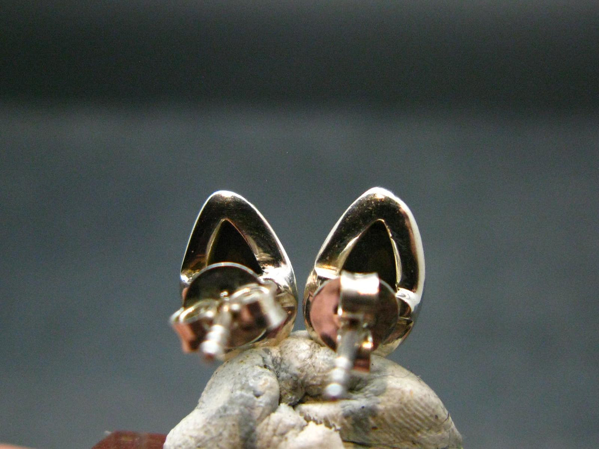 Ammolite Amolite Sterling Silver Stud Earrings From Canada - 1.1"