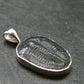 Trilobite Silver Pendant from USA - 0.9" - 1.57 Grams