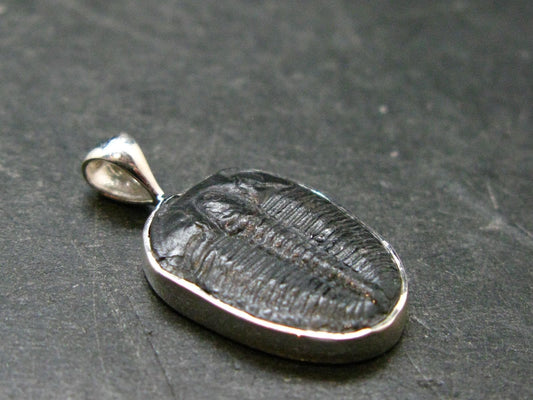 Trilobite Silver Pendant from USA - 0.9" - 1.57 Grams