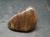 Rare Bustamite Tumbled Stone from South Africa - 1.2" - 14.50 Grams