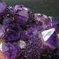 Stunning Cactus Amethyst Spirit Quartz Cluster From South Africa - 5.2" - 322 Grams