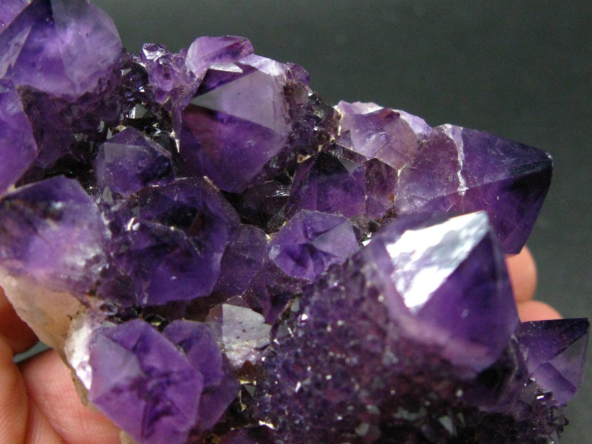 Stunning Cactus Amethyst Spirit Quartz Cluster From South Africa - 5.2" - 322 Grams