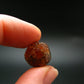 Rare Spessartine Garnet Crystal From Tanzania - 0.5"