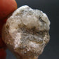 Gem Phenakite Phenacite Crystal From Russia - 24.54 Grams - 1.3"