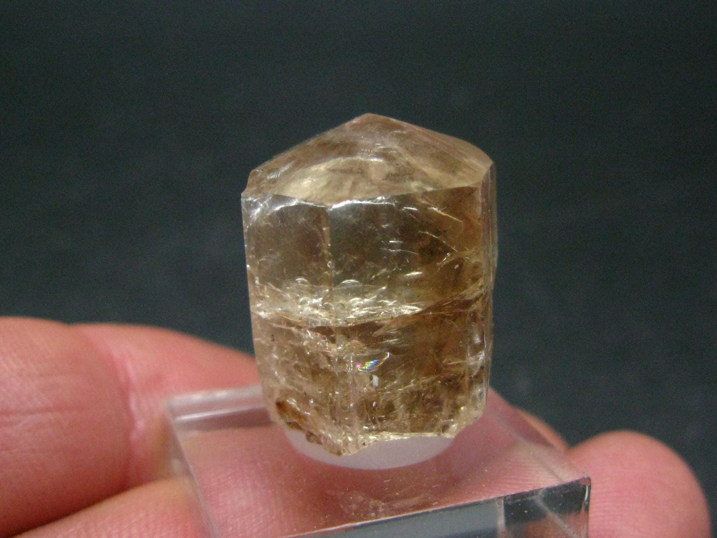 Rare Gem Phenacite Phenakite Crystal From Myanmar (Burma) - 48.55 Carats