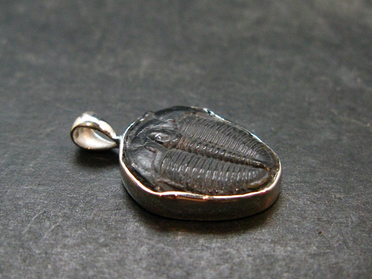 Trilobite Silver Pendant from USA - 1.0" - 2.42 Grams