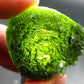HUGE Moldavite Tektite From Czech Republic - 2.0" - 150.7 Carats 30.14 Grams