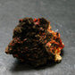 Rare Orange Crocoite Cluster From Australia - 1.1"- 13.35 Grams