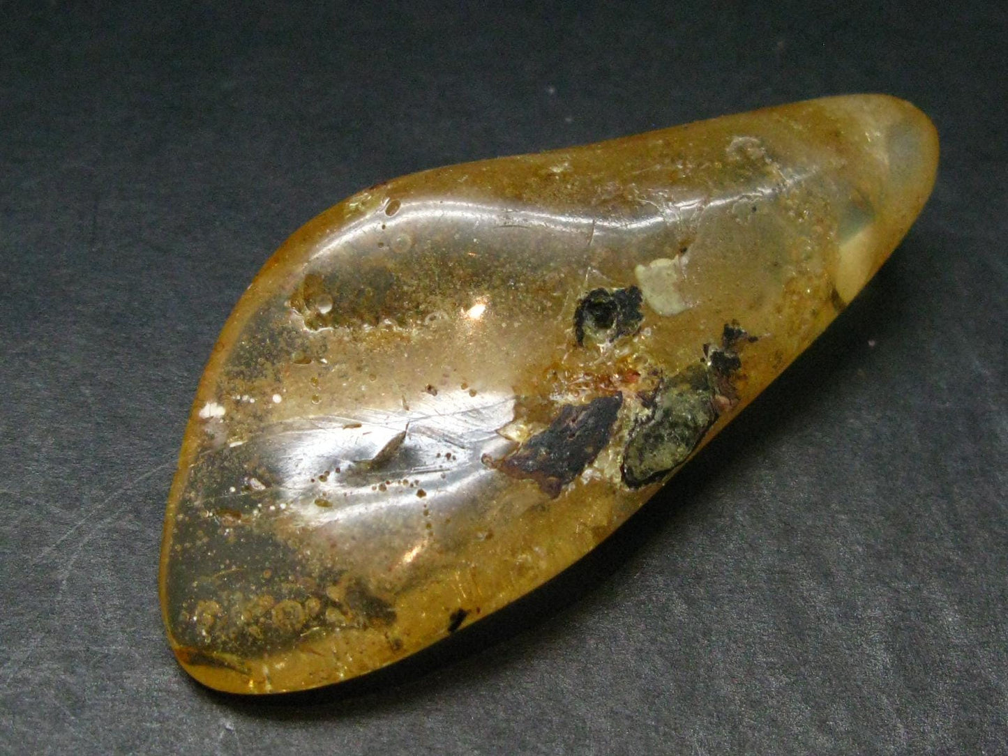 Insects in Amber Piece From Colombia - 6.67 Grams - 2.1"